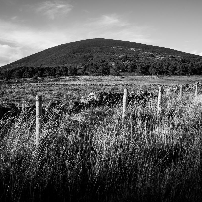 AnCnoc (19) Black Hill