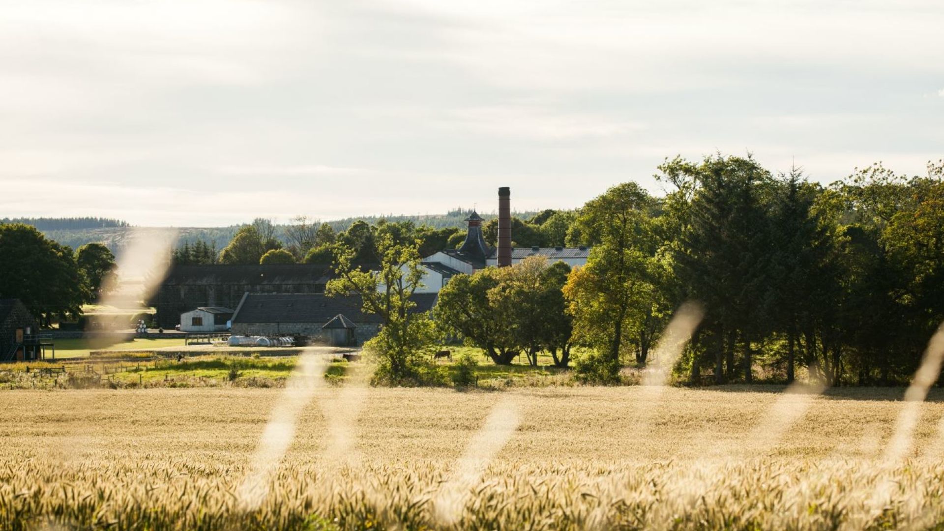 Knockdhu home of ancnoc