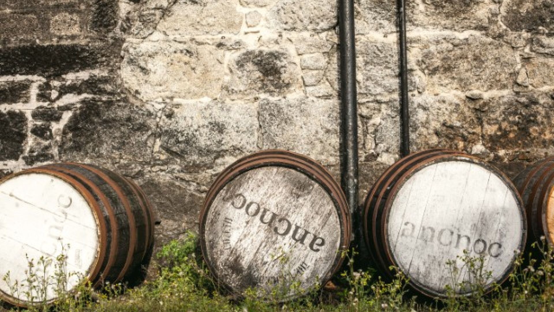 AnCnoc Cask Shot (2)